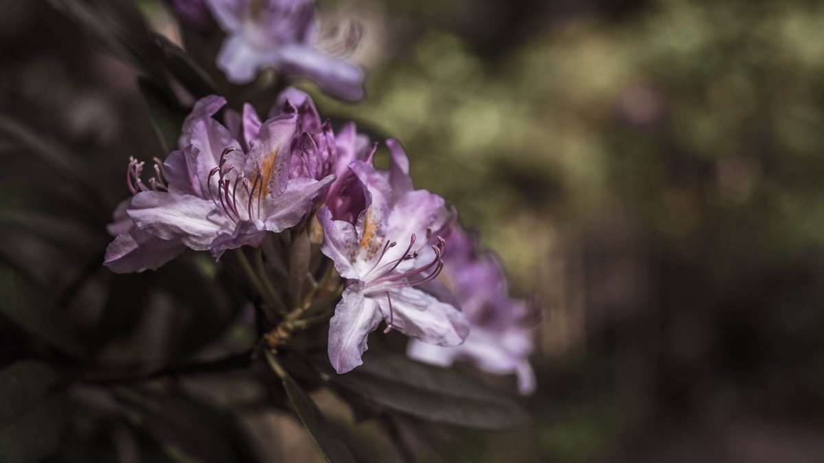 Sport & Outdoor — 4