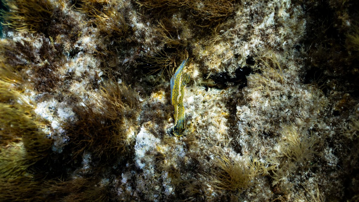 Mediterraneo — shot 42